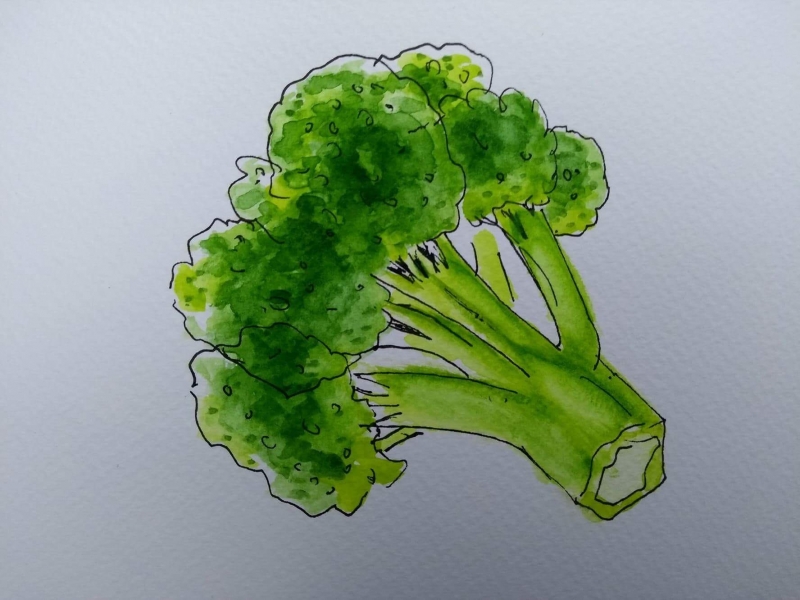 Broccoli met kaas kroket (verpakt per 4)