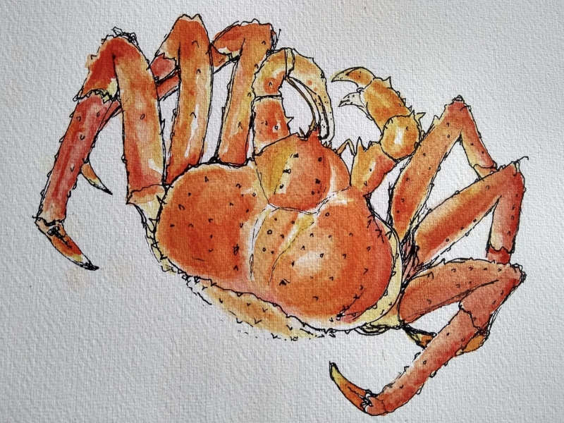 Snow  Crab kroket (verpakt per 4)
